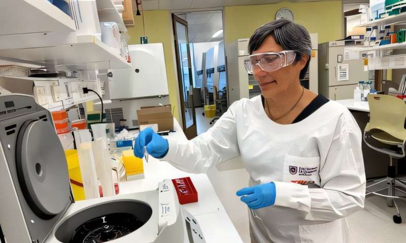 Professor Ranjeny Thomas. Credit: University of Queensland